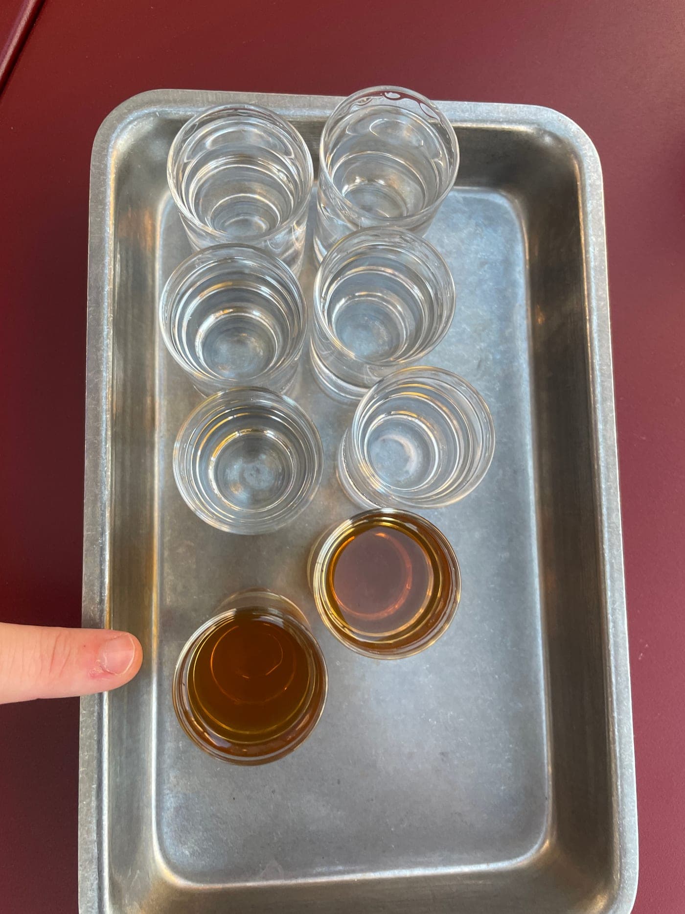 Flight of Polish vodkas in chilled glasses with traditional zakąski appetizers